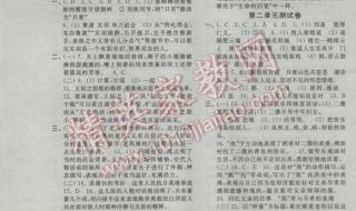 小学数学新课程标准四基是什么